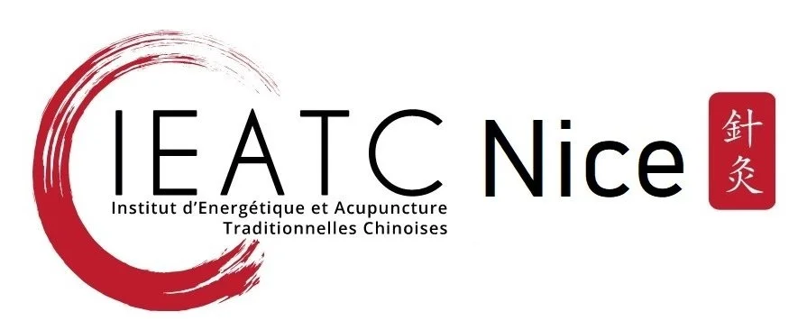 IEATC Nice